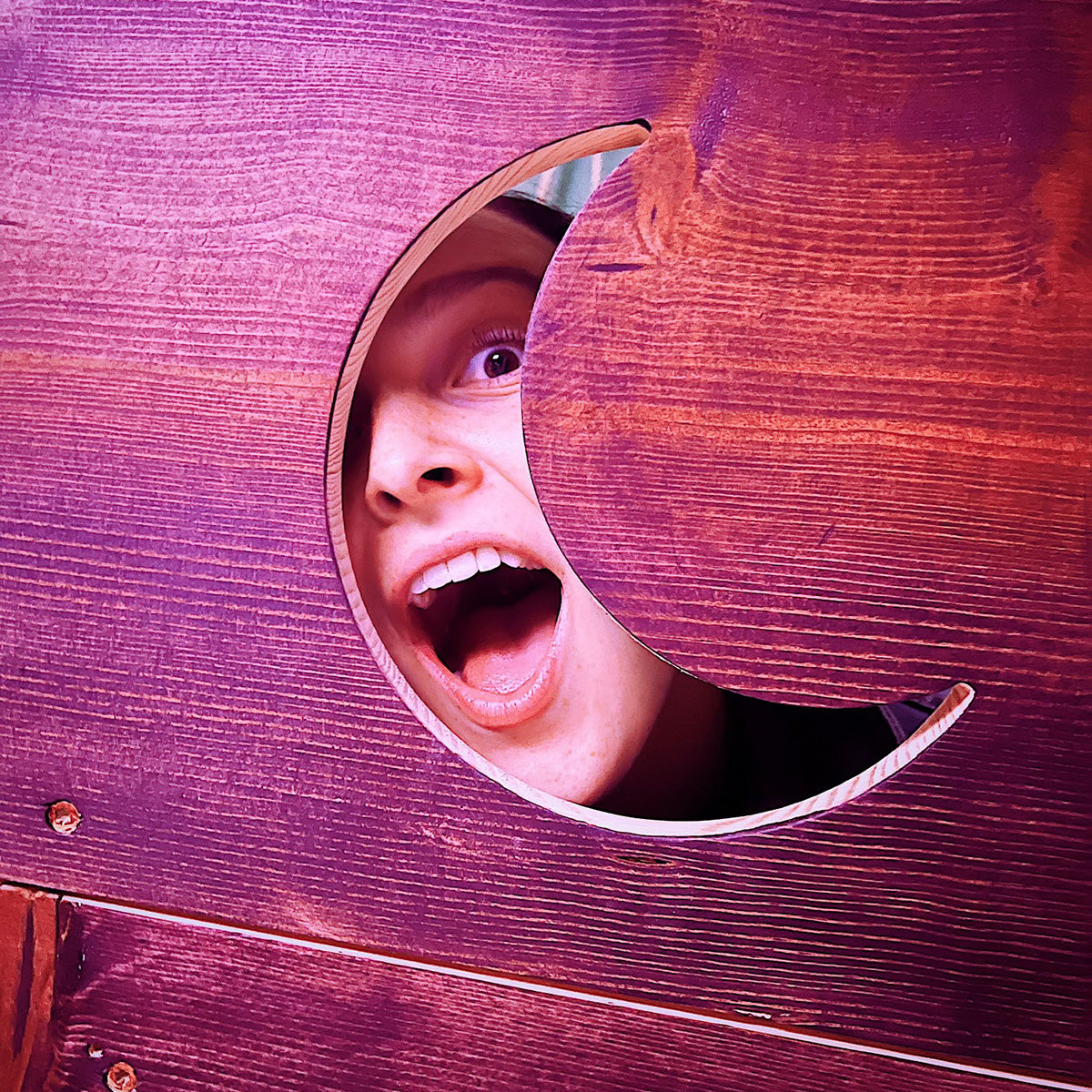 Fun and Mayhem await you in the mush room escape room.