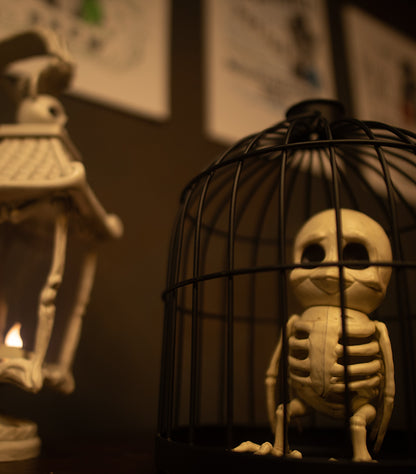 ominous scene with bird skeleton in cage